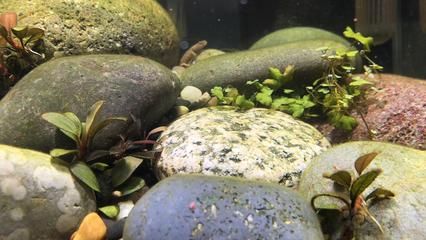 張家口二手魚缸交易市場在哪兒啊（張家口賣魚缸的地方在哪）