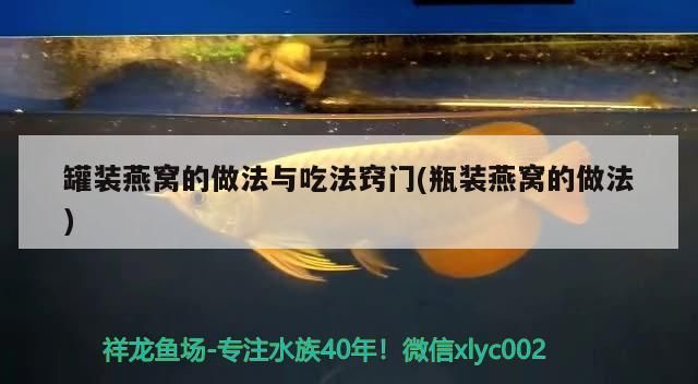 閩江龍魚缸怎么樣（閩江魚缸質量怎么樣）