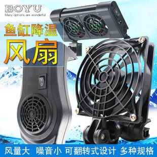 魚缸里面的綠毛怎么清理視頻（魚缸有綠毛）