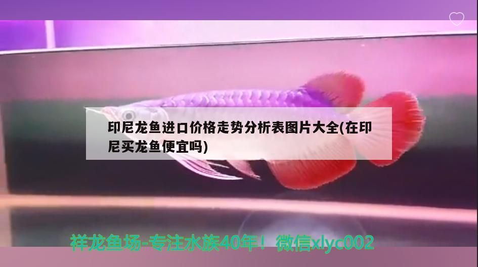 調節魚缸水質常見四種方法(調節魚缸水質常見四種方法有哪些)
