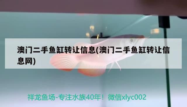 溫州哪里有魚缸賣的地方（溫州觀賞魚批發市場）