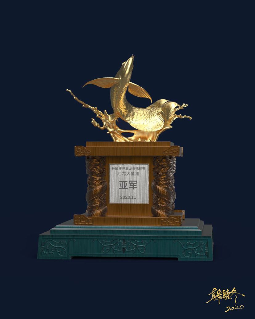 龍魚(yú)用什么顏色的燈好呢視頻（ 龍魚(yú)燈選擇）