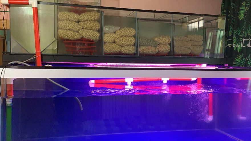 廈門魚缸定制哪家好點(廈門魚缸廠家直銷) 龍魚百科 第2張 廈門魚缸定制哪家好點(廈門魚缸廠家直銷) 廈門魚缸定制哪家好點(廈門魚缸廠家直銷) 龍魚百科 第2張