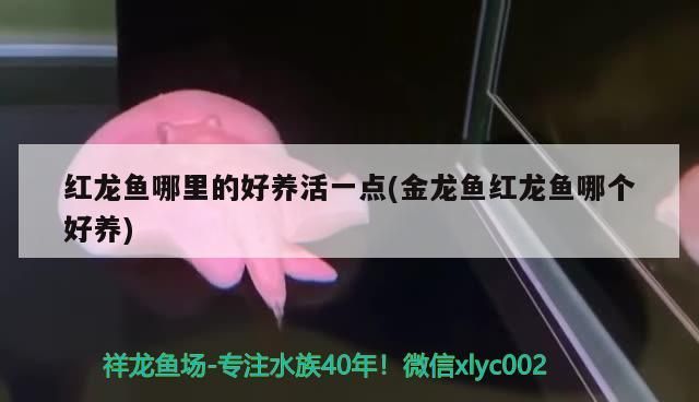 新買魚缸需要安裝哪些東西(新買魚缸需要安裝哪些東西和材料)