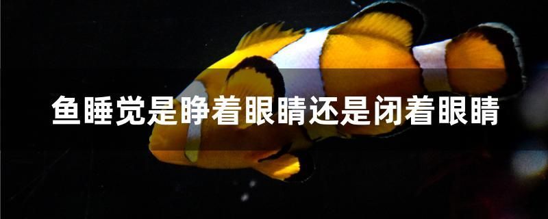 鄭州二手魚(yú)缸轉(zhuǎn)讓58同城網(wǎng)信息（鄭州回收二手魚(yú)缸上門(mén)回收） 鄭州二手魚(yú)缸轉(zhuǎn)讓58同城網(wǎng)信息（鄭州回收二手魚(yú)缸上門(mén)回收） 龍魚(yú)百科 第3張