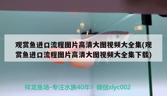 白城水族批發(fā)市場(chǎng)在哪里有賣(白城水族批發(fā)市場(chǎng)在哪里有賣的)