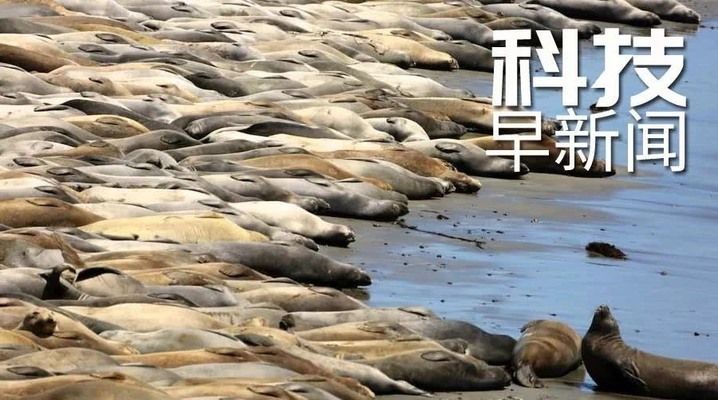 懷化哪里有賣魚缸的實體店鋪呢電話 懷化哪里有魚批發 懷化哪里有賣魚缸的實體店鋪呢電話 懷化哪里有魚批發 龍魚百科 第2張