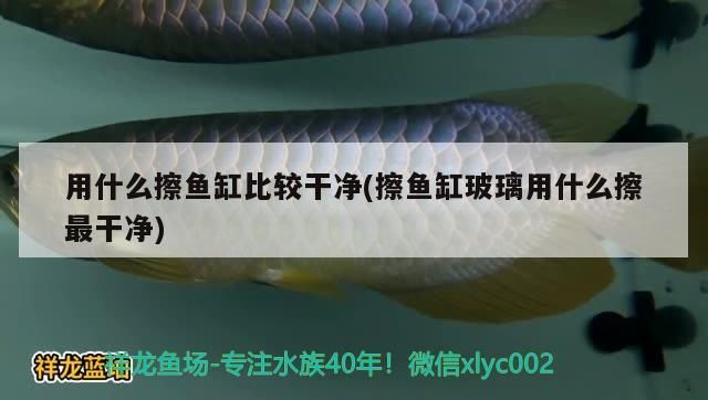 海城魚(yú)缸定做廠(chǎng)家地址電話(huà) 海城二手魚(yú)缸市場(chǎng)