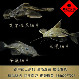魚缸十大品牌排行榜中國（魚缸知名品牌）