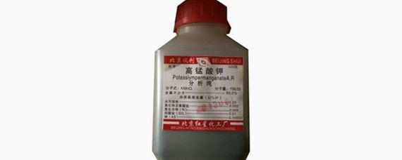 森森魚缸哪個(gè)系列最好（森森魚缸哪款好）