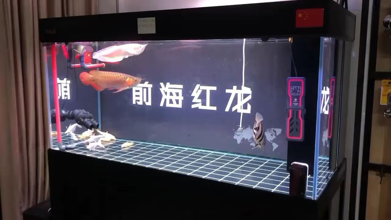 魚缸玻璃維修視頻教程（魚缸玻璃修復方法）