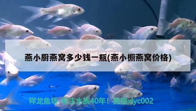 阜新魚(yú)缸訂做 阜新魚(yú)缸訂做店