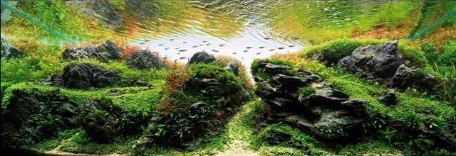魚缸玻璃爛了怎么換（魚缸玻璃裂開了可以修好嗎） 魚缸玻璃爛了怎么換（魚缸玻璃裂開了可以修好嗎） 龍魚百科 第2張