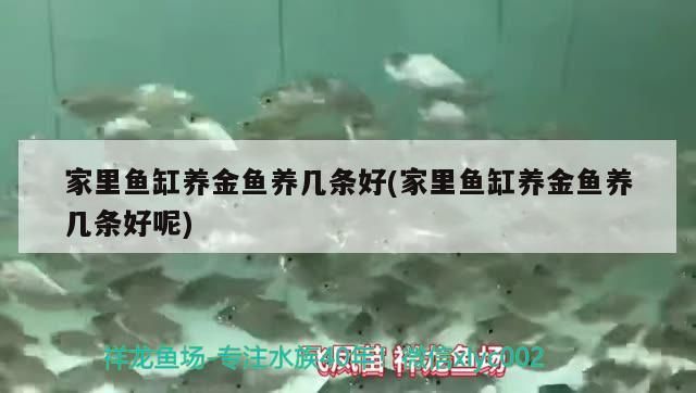 魚缸過濾材料順序圖片大全（魚缸過濾材料順序圖片大全圖解）