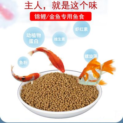 關(guān)于養(yǎng)龍魚的朋友圈說說搞笑 龍魚百科 第2張 關(guān)于養(yǎng)龍魚的朋友圈說說搞笑 關(guān)于養(yǎng)龍魚的朋友圈說說搞笑 龍魚百科 第2張