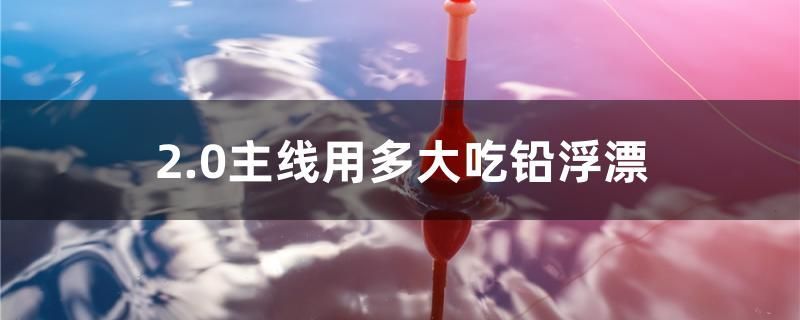 衡水魚缸水族批發市場在哪個位置啊（衡水魚缸市場批發市場）