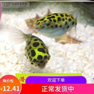 海鮮魚缸價(jià)格多少錢一個(gè) 飯店海鮮魚缸價(jià)格
