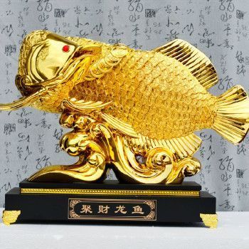 家里養一條龍魚好不好風水呢