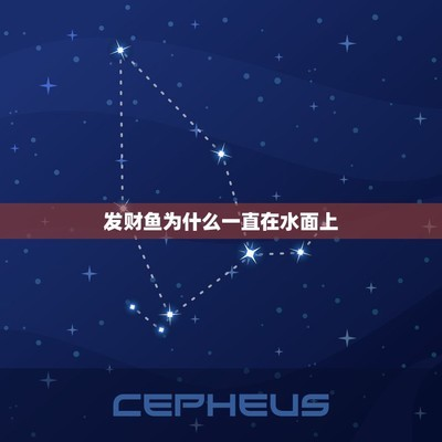 龍魚不正常的表現是什么