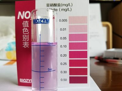 金龍魚每日行情 金龍魚每日行情 龍魚百科 第1張