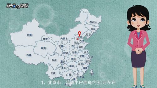 白化巴西龜品種的市場價格，白化巴西龜市場價格相對較高， 白化巴西龜品種的市場價格，白化巴西龜市場價格相對較高， 龍魚百科 第4張