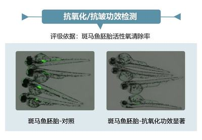 龍魚不能吃活泥鰍嗎為什么