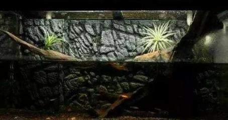 魚(yú)缸純白玻璃（魚(yú)缸超白玻璃那種最好）
