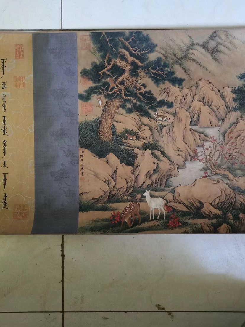 金龍魚和雷龍魚那個好看點（金龍魚和雷龍魚可以混養嗎）