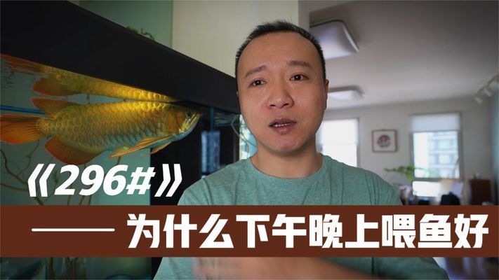 龍魚知識講座內容
