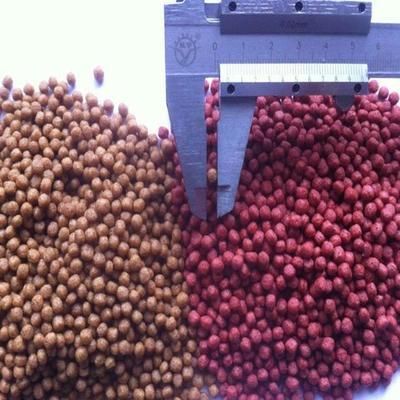 龍魚對(duì)溫度的要求高嗎 龍魚百科 第3張 龍魚對(duì)溫度的要求高嗎 龍魚對(duì)溫度的要求高嗎 龍魚百科 第3張