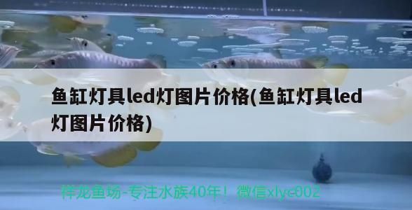 魚缸增氧泵進水了怎么修理視頻講解 魚缸增氧泵進水了怎么修理視頻講解教程 魚缸百科 第3張 魚缸增氧泵進水了怎么修理視頻講解 魚缸增氧泵進水了怎么修理視頻講解教程 魚缸增氧泵進水了怎么修理視頻講解 魚缸增氧泵進水了怎么修理視頻講解教程 魚缸百科 第3張