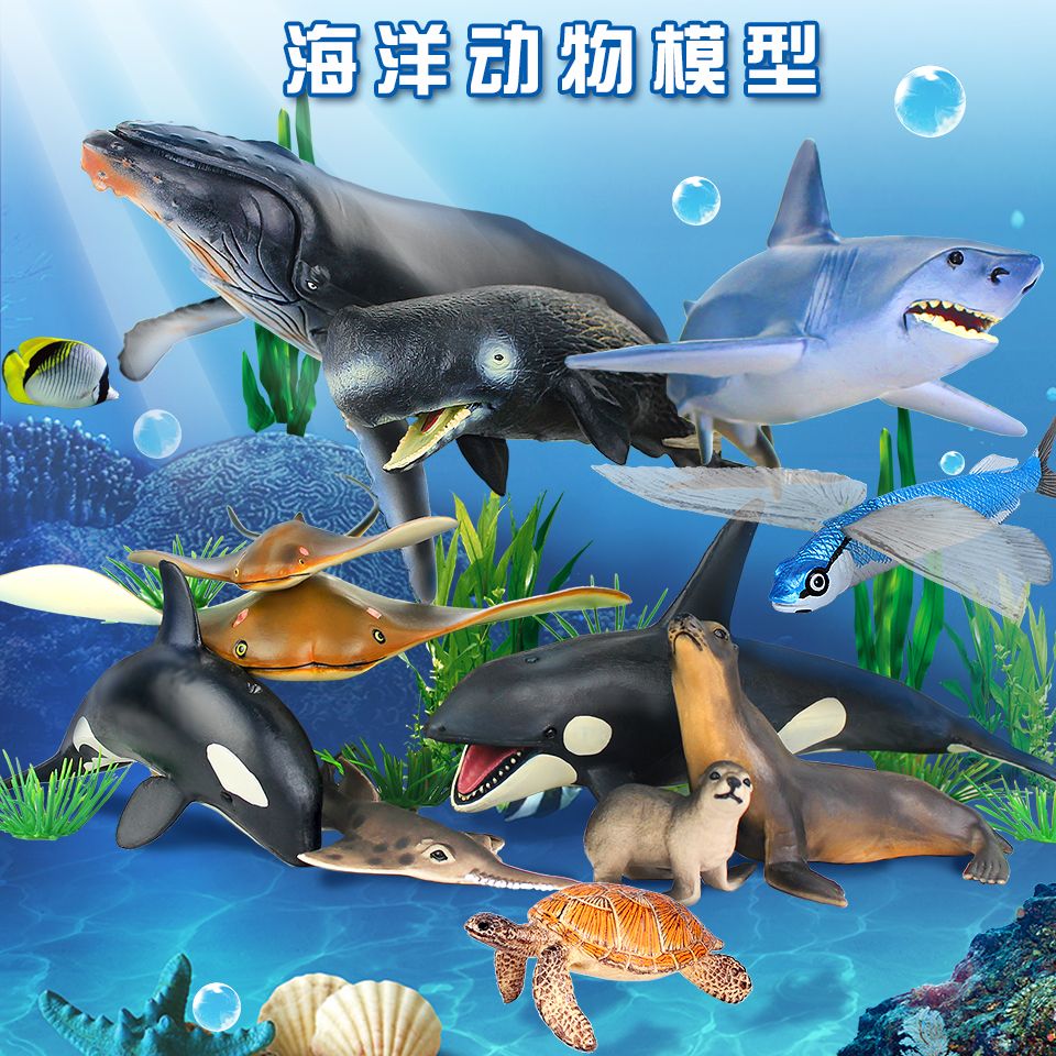 四海水族泰國貿易邀你來拼魚+海盜虎魚 四海水族泰國貿易邀你來拼魚+海盜虎魚 虎魚百科 第4張