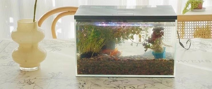 寵小到大（PAWGETHER）魚缸，pawgether寵小到大魚缸的特點