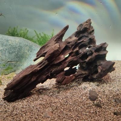 養魟魚放沉木好嗎？：養魟魚放沉木影響主要取決于沉木的種類和魚缸的大小