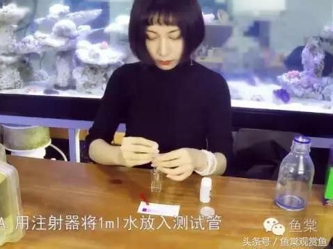 虎魚水質監測方法，虎魚水質監測方法， 虎魚水質監測方法，虎魚水質監測方法， 虎魚百科 第6張