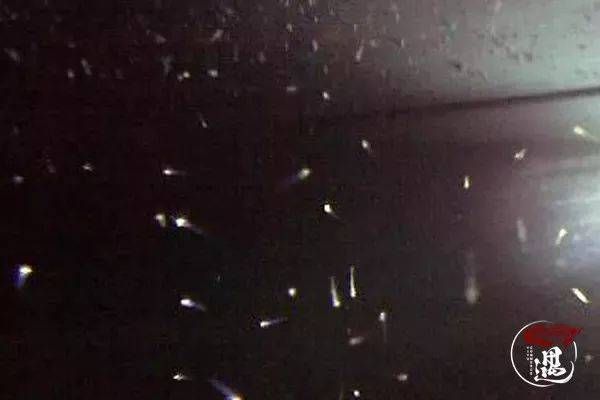 龍魚缸過濾棉多久換一次好，龍魚缸過濾棉的更換頻率不是固定不變的