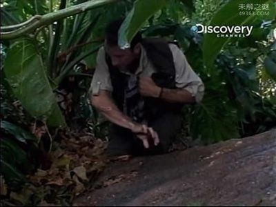 魟魚死了：對于魟魚突然死亡的原因根據搜索結果