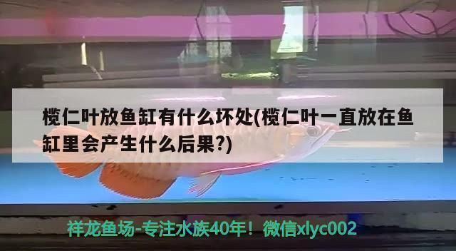 如何預防三紋虎水質污染，三紋虎水質污染的預防措施