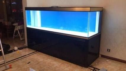 虎魚魚缸照明避免過度光照方法，濾光魚缸的照明與安裝方法 虎魚魚缸照明避免過度光照方法，濾光魚缸的照明與安裝方法 虎魚百科 第6張