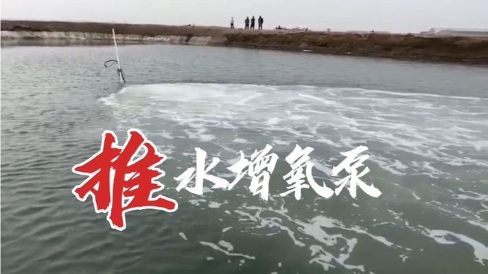 虎魚高溫期增氧設備推薦，藍寶增氧泵適用場景
