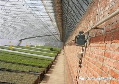 虎魚高溫期增氧設備推薦，藍寶增氧泵適用場景