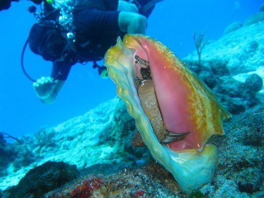 金龍魚魚缸怎么安裝，金龍魚魚缸安裝方法