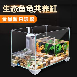 四紋虎混養水族箱過濾系統設計，四紋虎混養水族箱過濾系統 四紋虎混養水族箱過濾系統設計，四紋虎混養水族箱過濾系統 虎魚百科 第2張