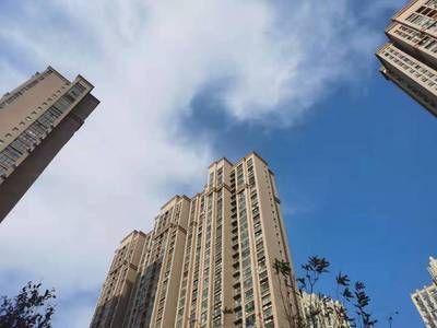 鄭州魟魚，鄭州人才公寓上線配租 鄭州魟魚，鄭州人才公寓上線配租 魚缸百科 第6張