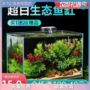 虎魚缸內水草選擇指南，康的居住環境選擇指南