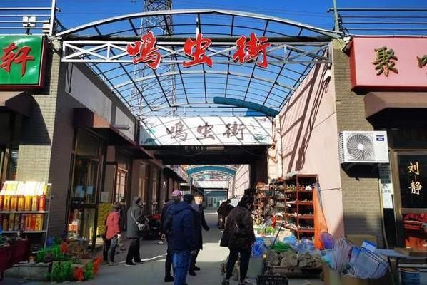 天津水族批發市場特色品種介紹，天津水族批發市場特殊品種介紹水族市場特殊品種價格對比