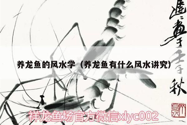 龍魚風(fēng)水學(xué)說法，龍魚與家居布局的風(fēng)水指南