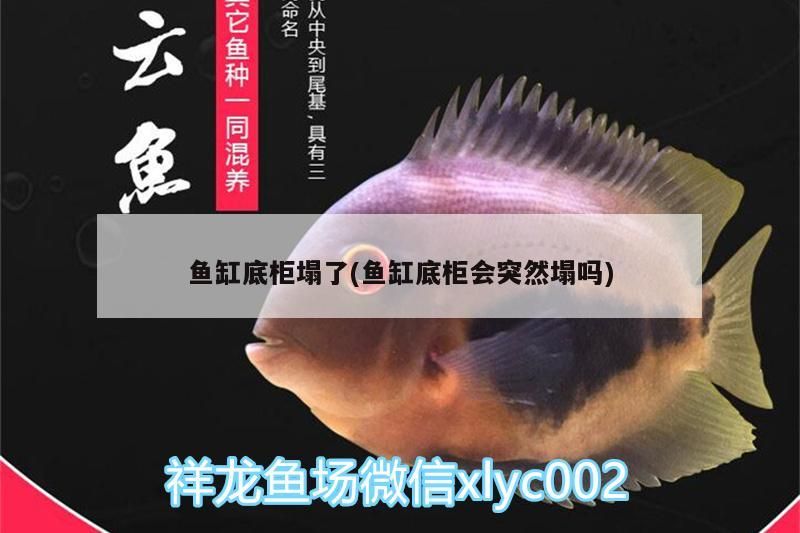 魚缸底柜塌了(魚缸底柜會突然塌嗎)