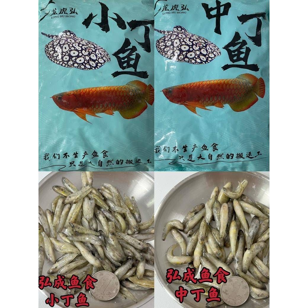 藍龍虎魚特殊飼料購買途徑，藍龍虎魚特殊飼料的購買途徑