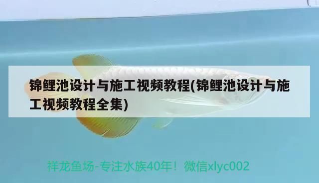 紅老虎魚繁殖后護理方法，紅老虎魚繁殖后水質管理技巧